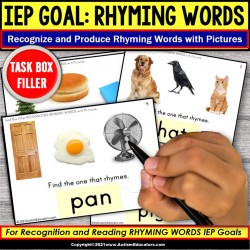 CVC Rhyming Words with Pictures Task Box Filler for Special Education